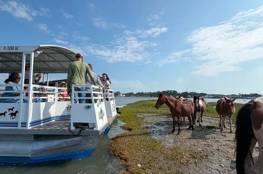 Narrated Tour of Chincoteague, Wild Pony and Nature Cruise