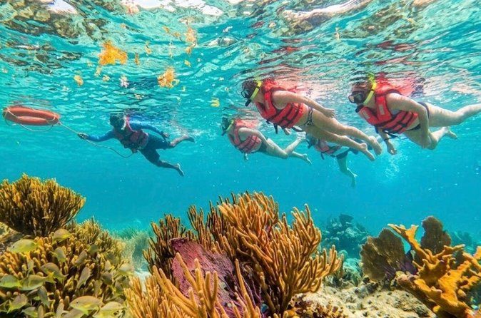 Private boat snorkeling in Puerto Morelos