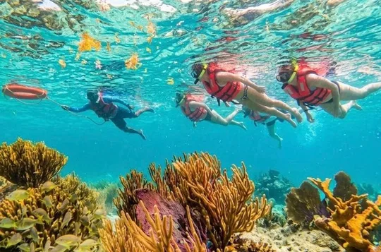 Private boat snorkeling in Puerto Morelos
