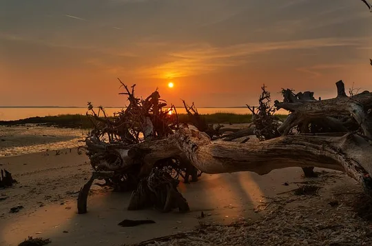 Hilton Head Outback: Small-Group Private Tour