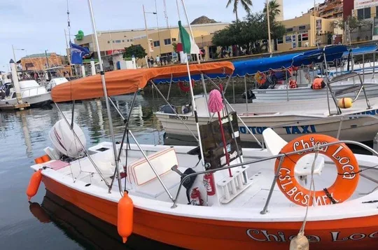 Private Half-Day Fishing Charter in Cabo San Lucas