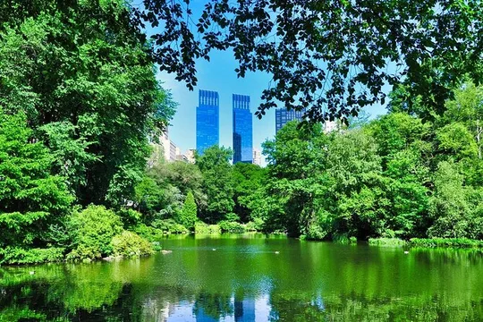New York Kids Quest: Family Walking Adventure