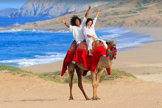 Private Camel Tour with Lunch, Alcohol Tasting and Unlimited Pics