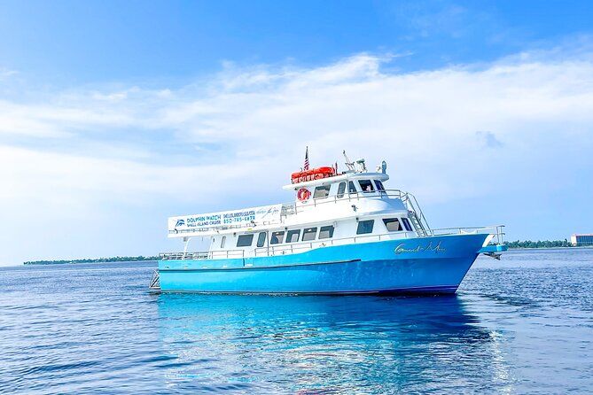 Shell Island Cruise & Dolphin Watch