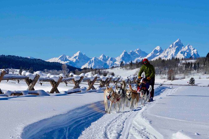 Jackson Hole Full-Day Dog Sledding and Snowmobiling Combo Trip