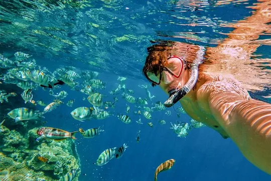 3-Hour Private Pelican Rock Snorkeling and chileno Bay