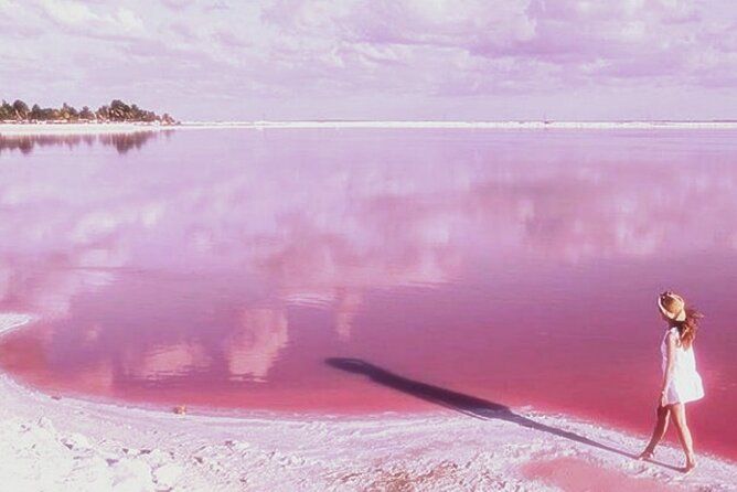 Tour Coloradas and Rio Lagarto