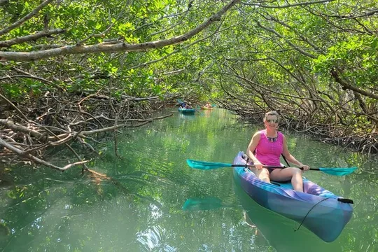 Key Largo: Mangroves & Manatees Kayak Eco Tour