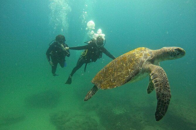 Scuba Diving at Cabo Pulmo National Park for 2 Divers!
