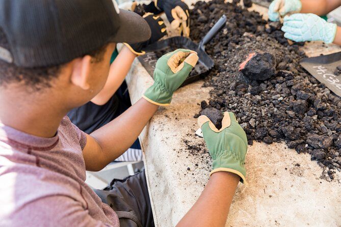 La Brea Tar Pits Insider Tour