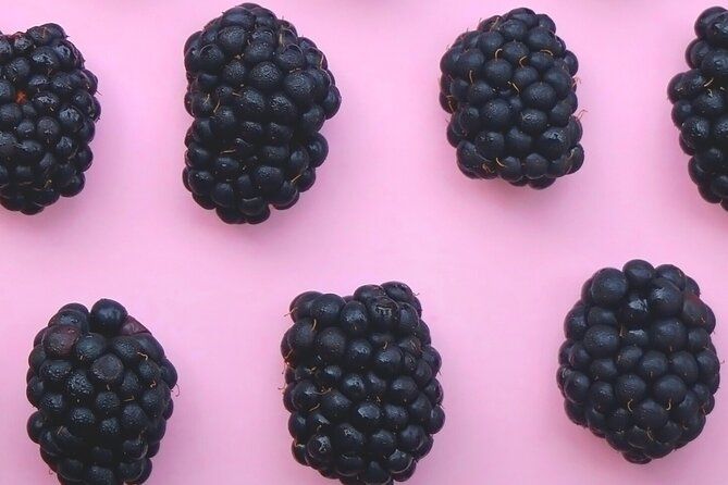 Okanagan Blackberry Fest; Wine Flights & Charcuterie - Kelowna