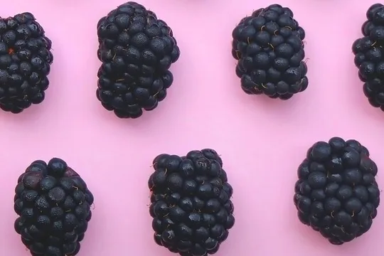 Okanagan Blackberry Fest; Wine Flights & Charcuterie - Kelowna