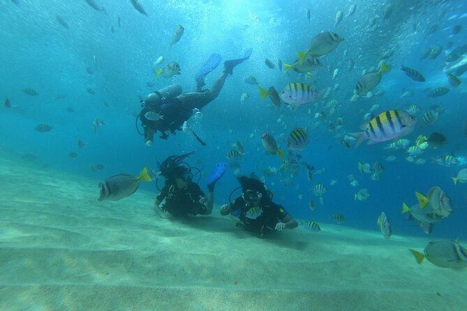 Private Scuba Diving 2 tanks at Mar de Cortés!!