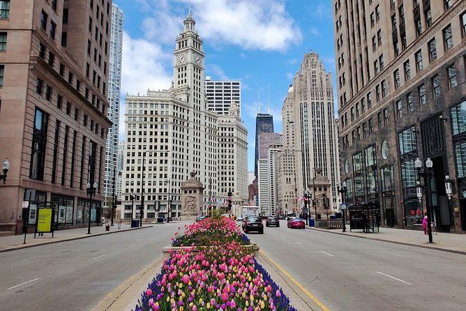 Private Chicago City Minibus Tour