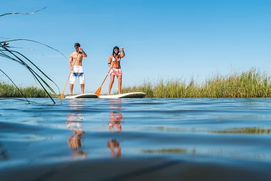 Guided Stand Up Paddleboarding Activity in Hilton Head Island