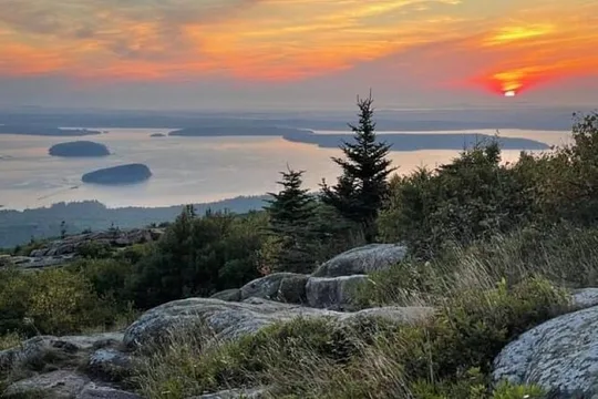 Brewed Awakening Cadillac Mountain Sunrise Tour