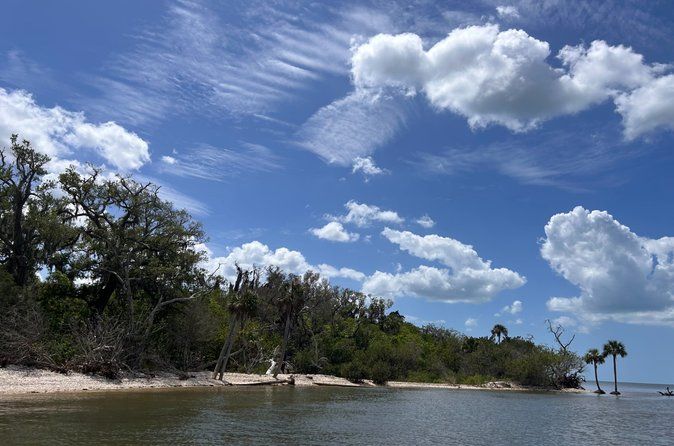 Eco Tour in Crystal River