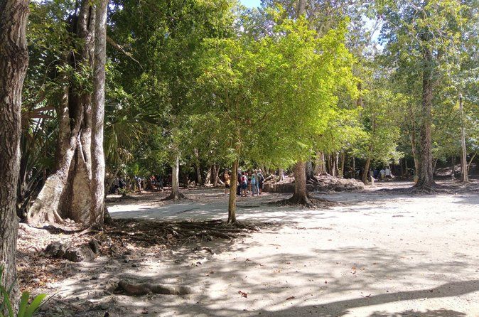 Private Tour To Chacchoben Mayan Ruins All Inclusive