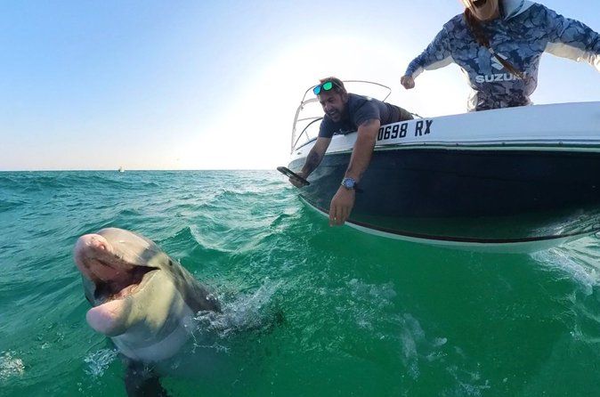 Private Dolphin and Snorkel Tour in Panama City Beach