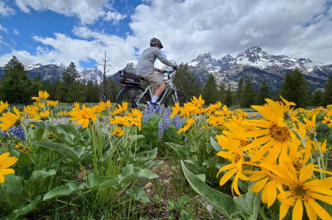 Scenic Wildlife Adventure in Grand Teton by E Bike