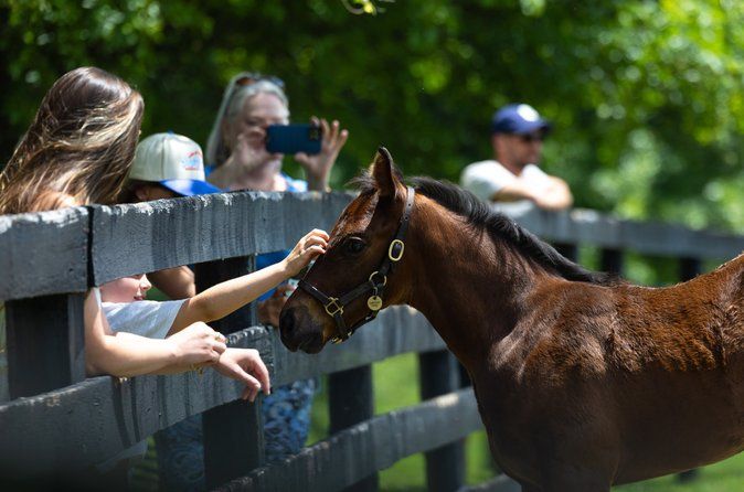 Kentucky Horse Farm Nursery Tour at Pin Oak Stud
