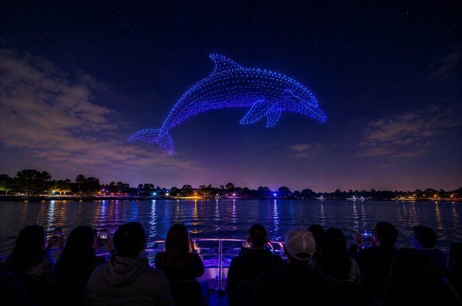 Light Show Bay Cruise