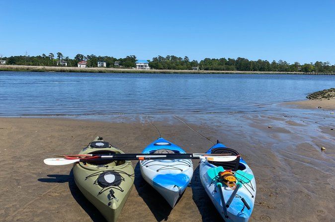 Shark Tooth Island Tour