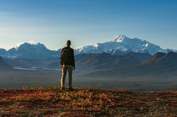 Denali Wilderness Hike