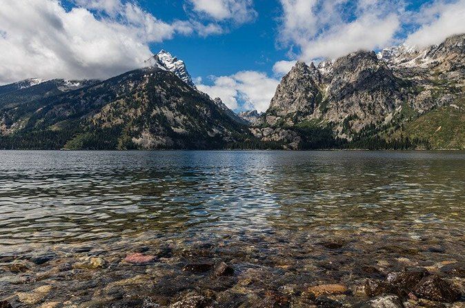 Sunset Wildlife Adventure in Grand Teton National Park