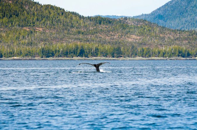 Ketchikans Favorite Cultural and Historical Sites