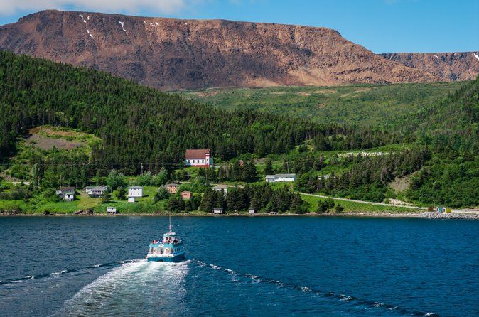 Tablelands Bonne Bay Catamaran Tour
