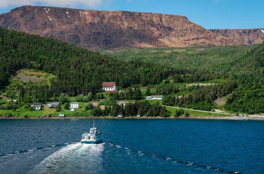 Tablelands Bonne Bay Catamaran Tour