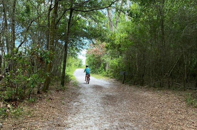 Electric Bike Tour Amelia Island & Big Talbot IS (Small Group)