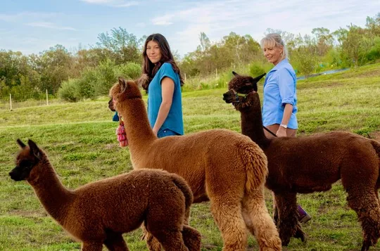 Maui Alpaca and Angora Bunny Farm Experience