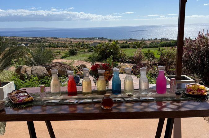 Herbal Tea Tasting Tour at Maui Dragonfruit Farm