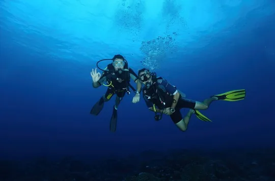 Go Scuba Diving Today! No Experience or Certification Needed