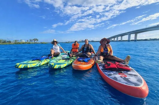 Dolphin and Manatee Paddleboard Adventure in Daytona
