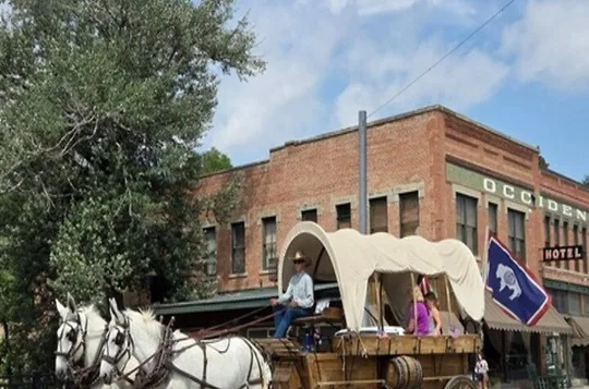 Historical Wagon Tours Heart of Buffalo