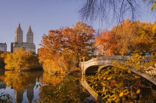 Central Park Pedicab Tour by The Big Apple