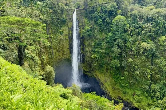 Hilo Excursion Tropical Escape: Akaka Falls, Black Sands & More!