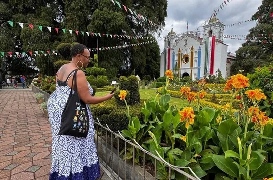 Mitla Teotitlan and Tule Private Tour