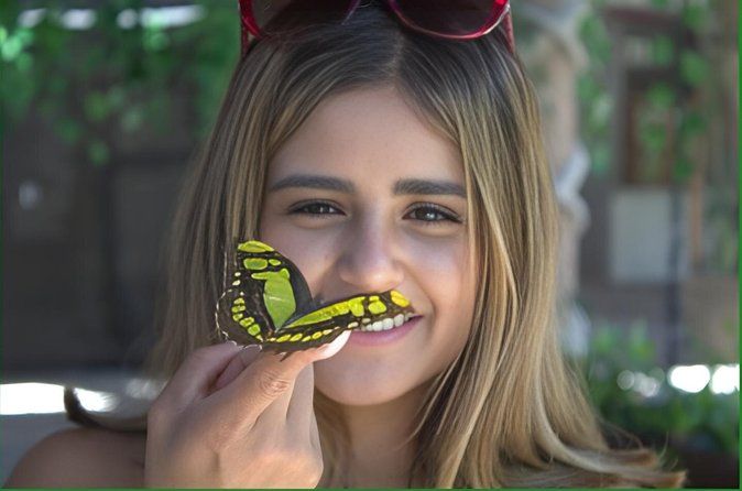 City tour, Butterflies, Tequila, river & Beach with Food included
