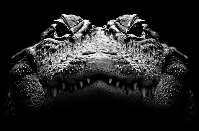 Everglades Adventure and Miami City Tour