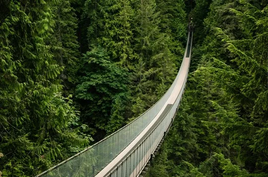 Post-Cruise Vancouver City + Capilano Tour, Optional YVR Transfer
