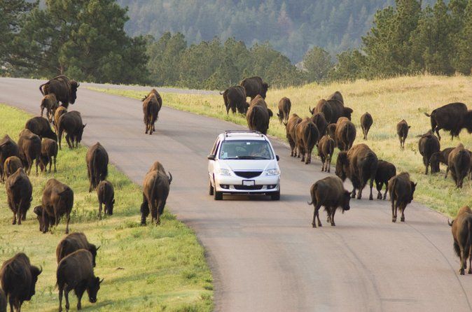 Black Hills Rushmore to Crazy Horse Self Guided GPS Driving Tour