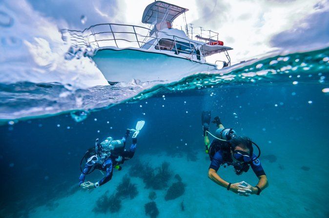 Private PADI 1-Day Scuba Certification in Cabo San Lucas