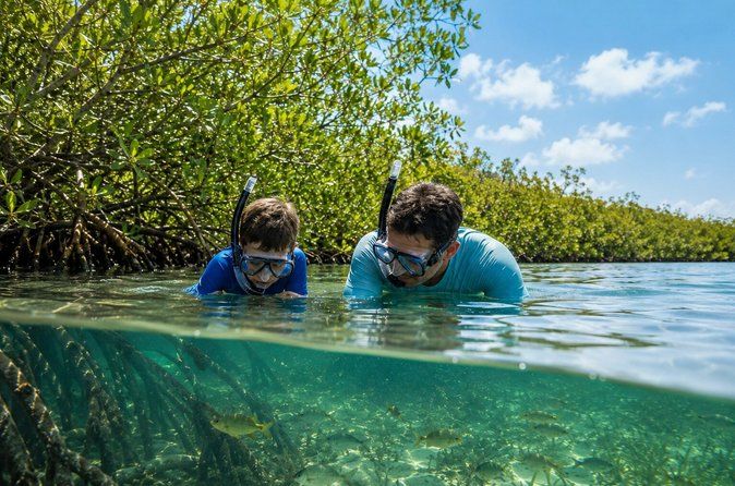 Florida Keys: Snorkeling and Sandbar