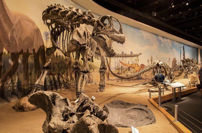 Drumheller Tour with Museum Tickets, Dinosaurs and Historic Sites
