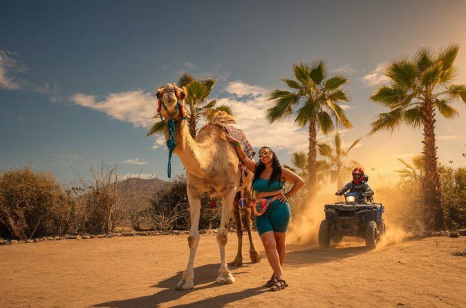 Cabo ATV & Camel Ride with Buffet, Beach Club or Full Park Pass