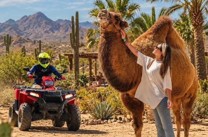 Cabo ATV & Camel: FREE Buffet, Tequila & Hotel/Cruise Pickup